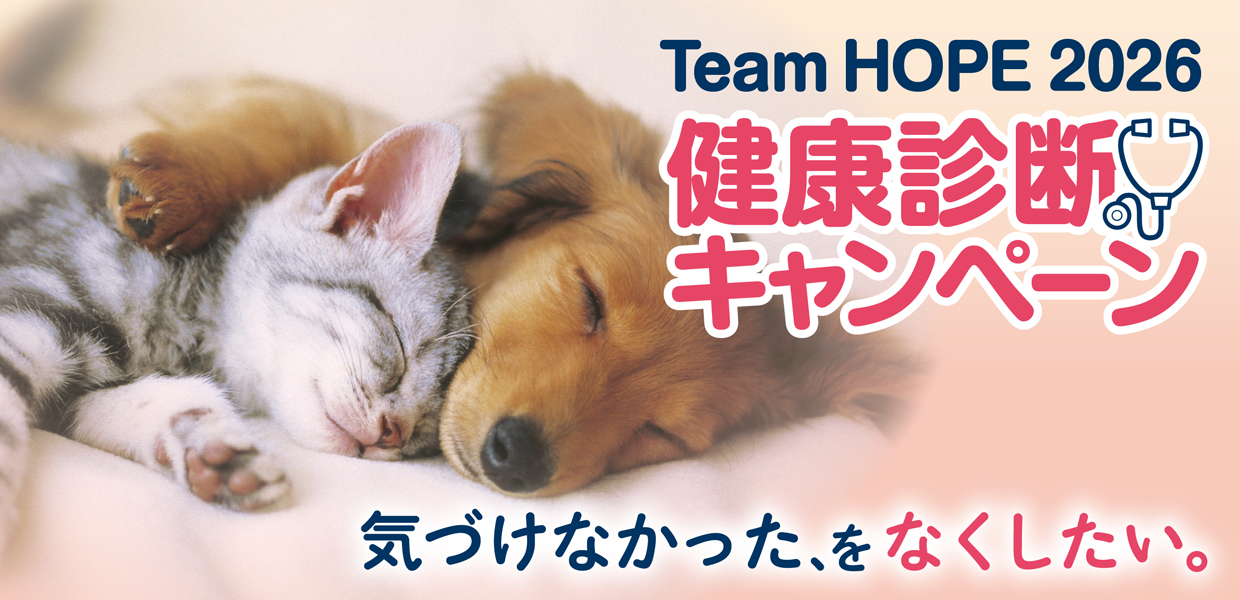 Team HOPE健康診断キャンペーン2026