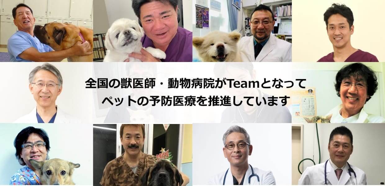 全国の獣医師・動物病院がTeamとなってペットの予防医療を推進しています